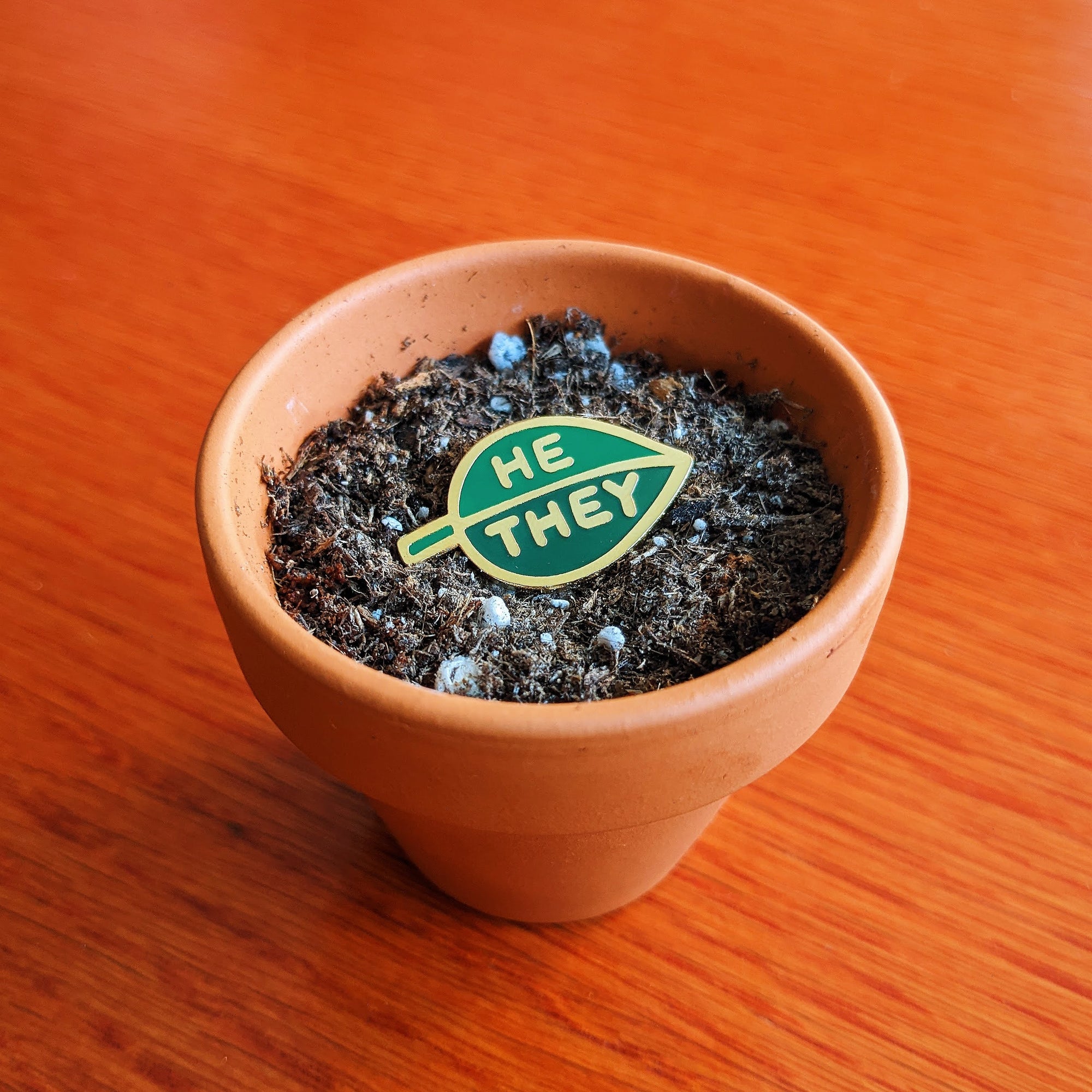 Pronoun Leaf Pin - he/they