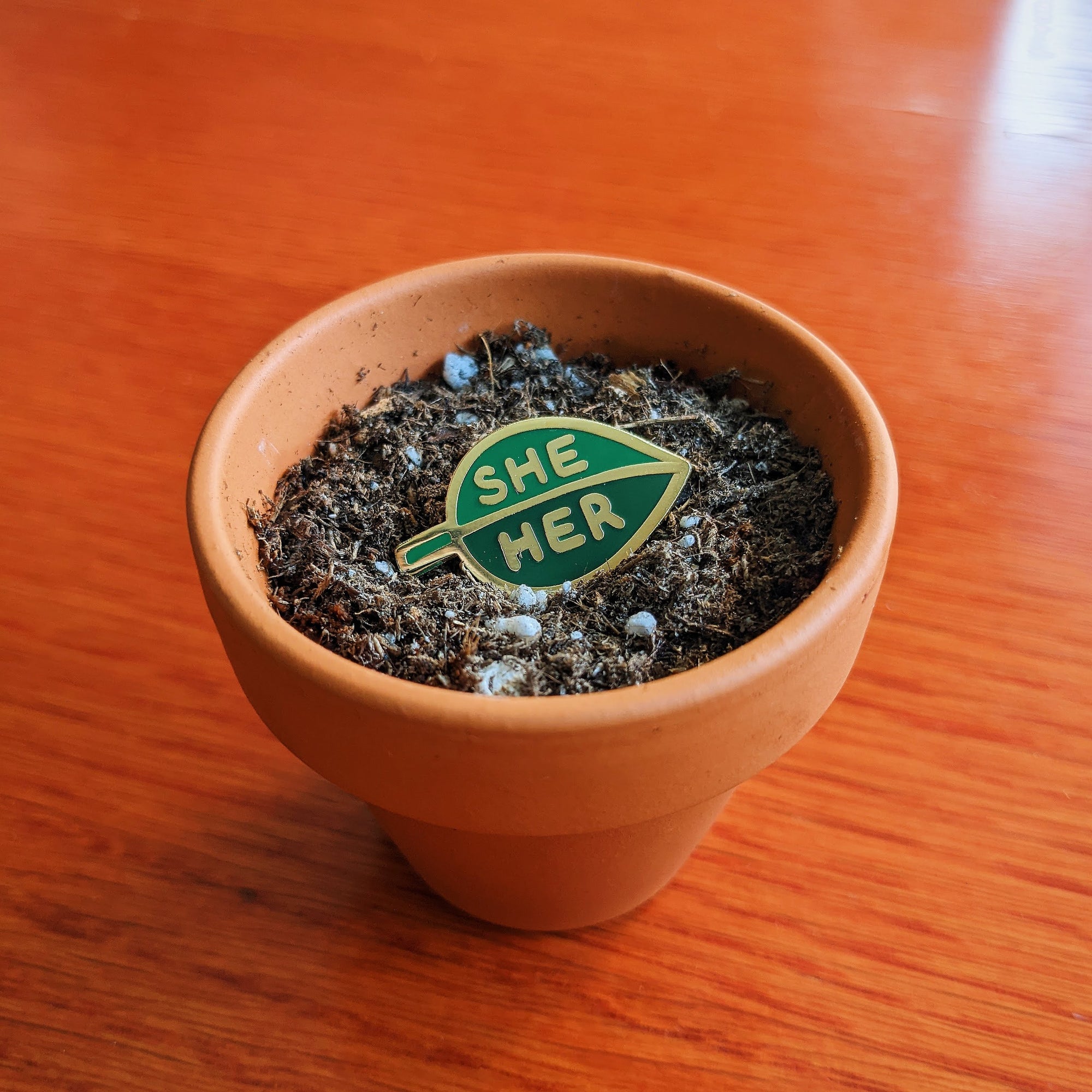 Pronoun Leaf Pin - she/her