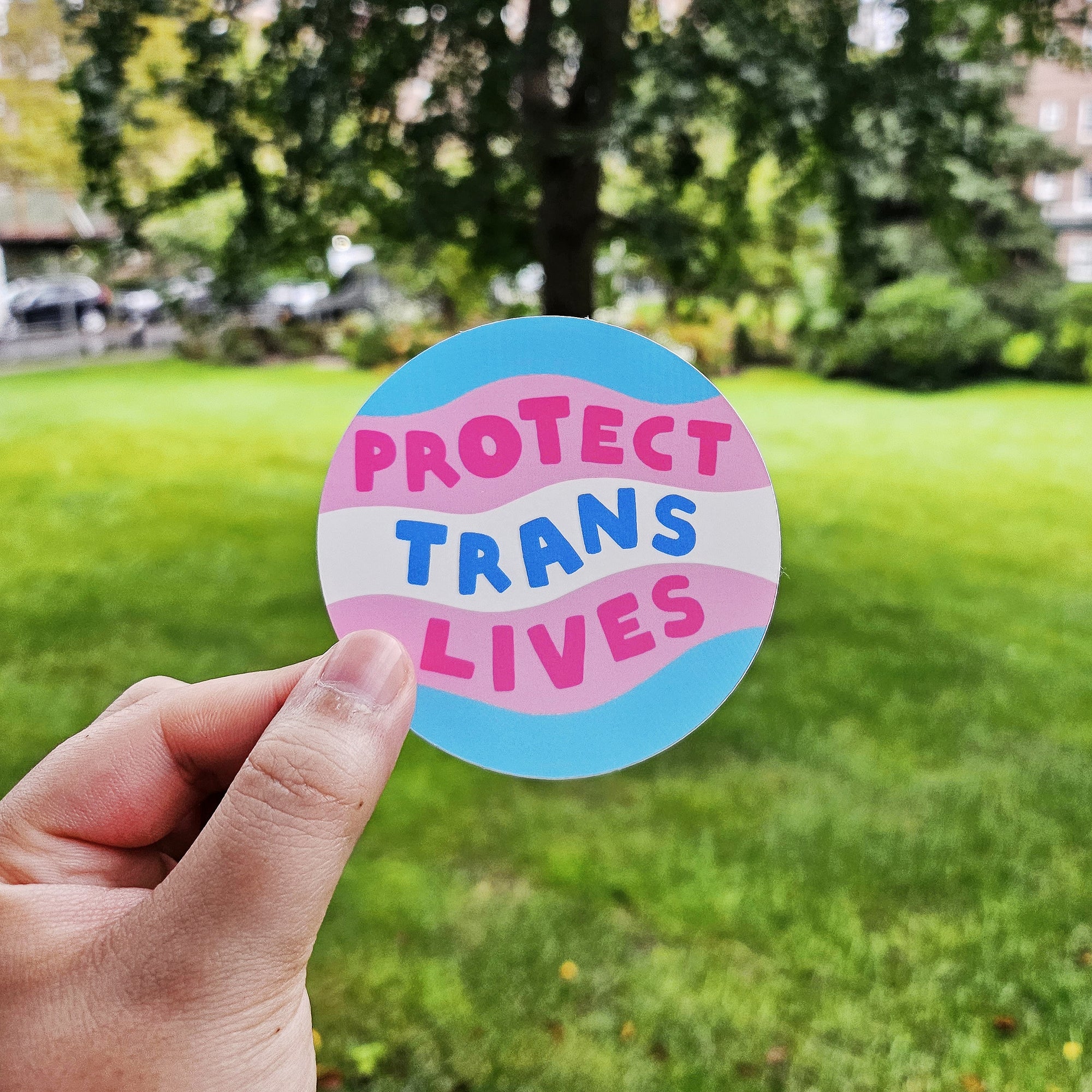 Protect Trans Lives Sticker – misomomo