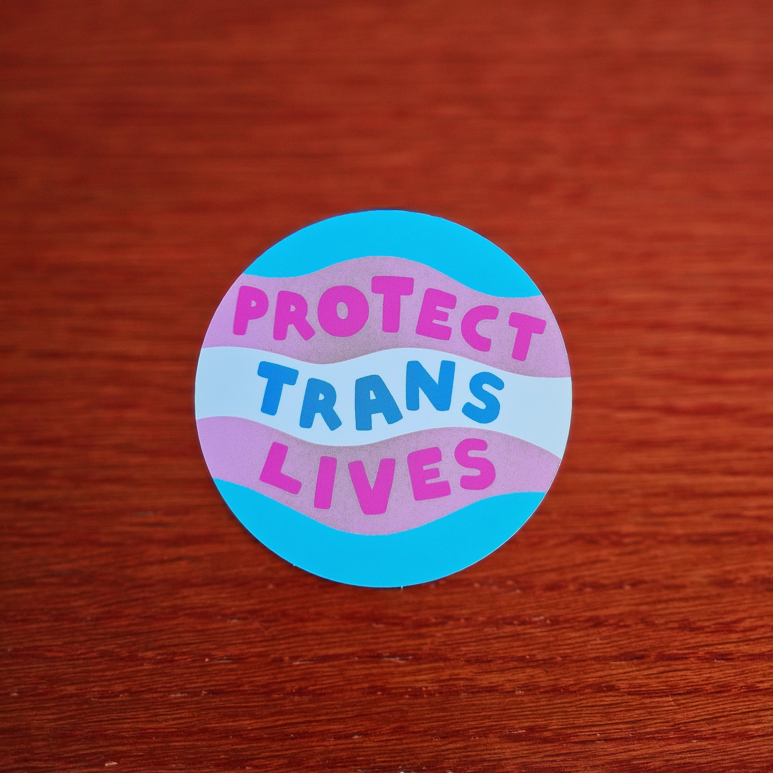 Protect Trans Lives Sticker – misomomo